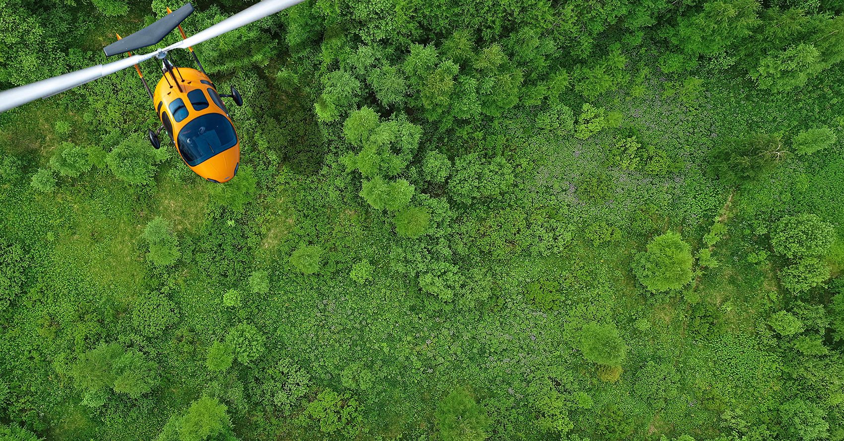 Fixius aircraft over forest landscape